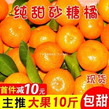 砂糖橘广西金秋薄皮当季新鲜孕妇水果整箱批发包邮独立站速卖通