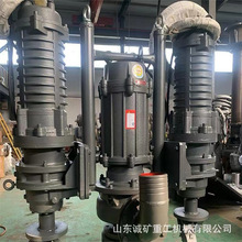 ZJQ��ˮ���{�� ���t�Ͻ��ó�ɳ��ɳ�ӵ�����ZJQ��ˮ���{��