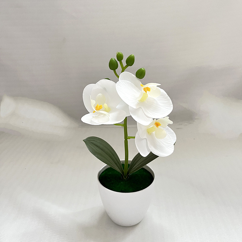 화이트 (가로 20cm 세로 11cm)