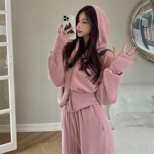 Chic Anti-Aging Set for Women Early Autumn Hooded Sweatshirt Fashion Leisure Pants Sports Clothes Small Figure Two-Piece Set Trendy #867