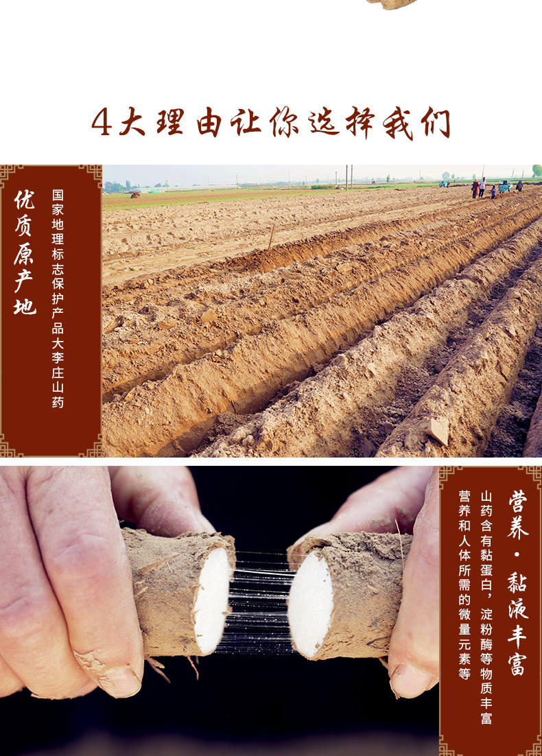 s山药_04.jpg