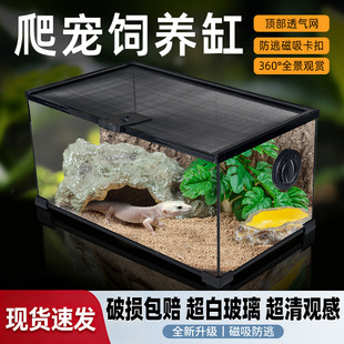 ���ײ���������������B���~�����������x��B�������쾰������