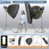 Sun lamp*3+deep soft box*2+strip soft box*1