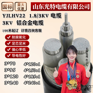 �X�Ͻ�YJLHV22����1.8/3KV�߉���|6KV 3 5 о��о3*50 95ƽ��150