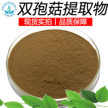 双孢蘑菇提取物 浓缩蘑菇粉 厂家直供口菇多糖 双孢菇多糖30%