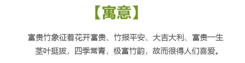 3d7871b1-2405-4c34-8e4e-0d767f68d0a8.jpe