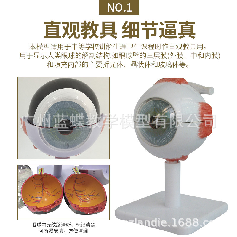 3���Ŵ� �����������ģ�� �����۾�����ѧ �о�����ٿ��ۿ�ģ��