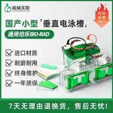 mBio-Rad/Mini-ProteanTetraСʹֱӾ۵ײ1658001