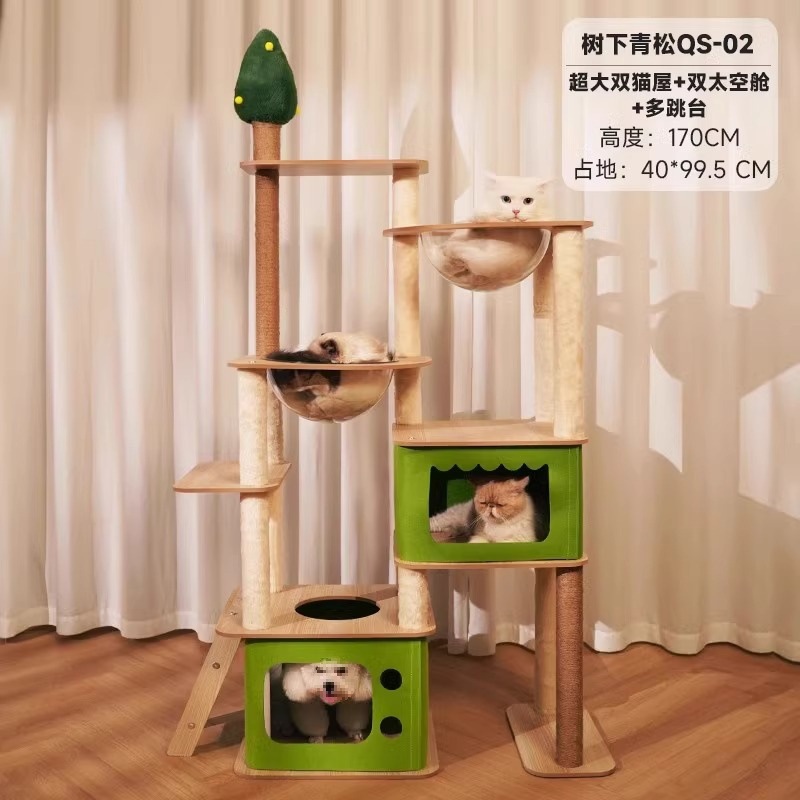 나무 아래 푸른 소나무-02