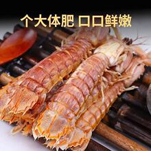 ���ƤƤ�r������S����󹫴�ĸƤƤ�r�r���r���r���������l