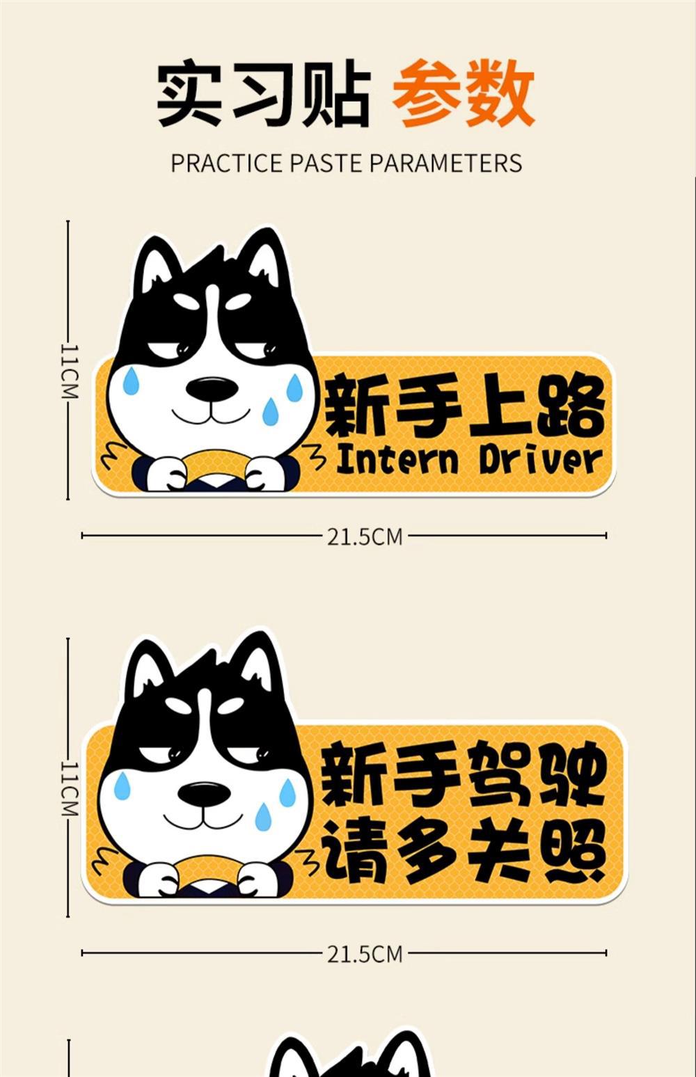 Car Internship Sign Sticker for Female Drivers on the Road, Strong Magnetic Suction Internship Sticker, Uniform Decorative Sticker, Internship Badge