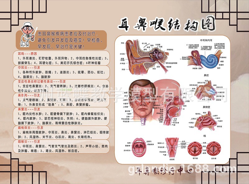耳鼻喉挂图