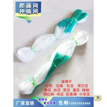 �r��ֲ�����پWɽș���ǽz�Ͽ�ϵ����S�ϰ�����Nֲ�������W