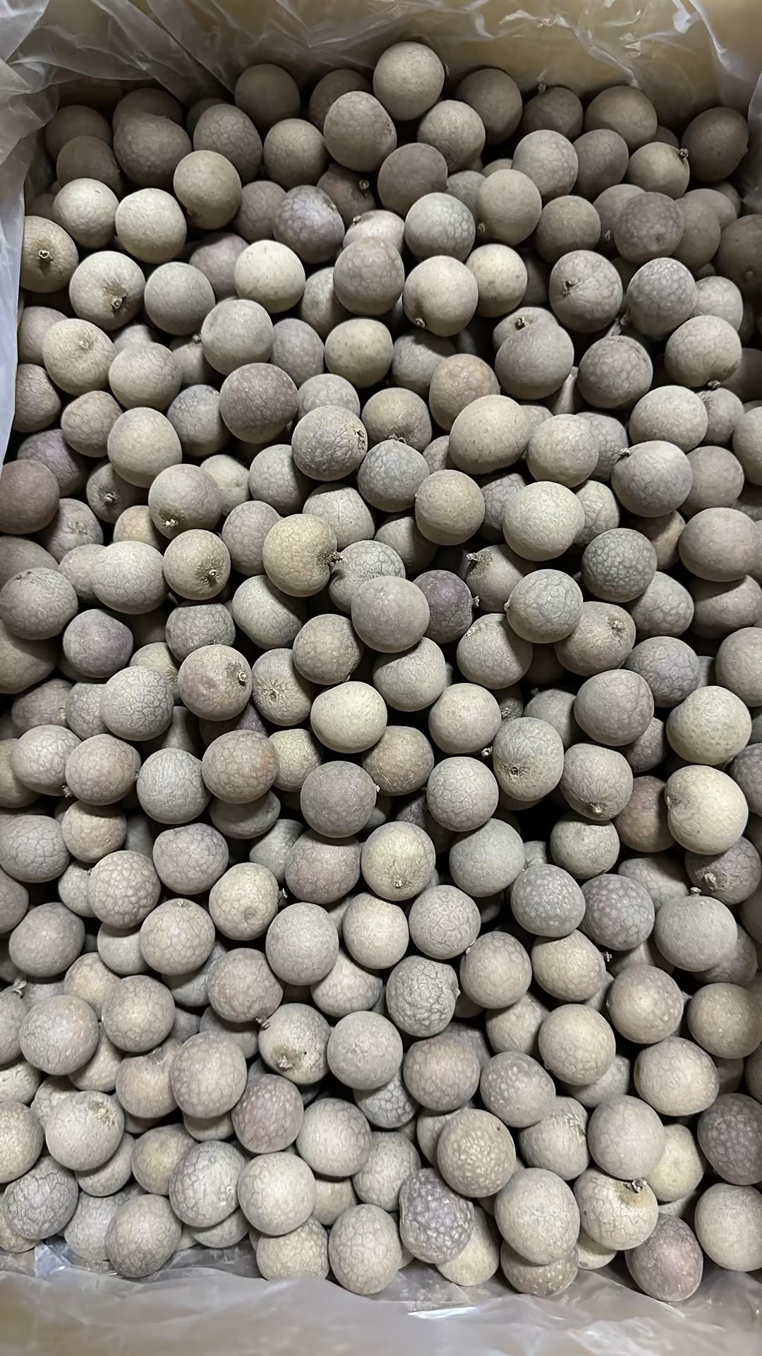 带皮桂圆500克