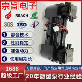 12LPM真空封口保鲜机真空泵 直流真空食品包装机负压隔膜双头泵