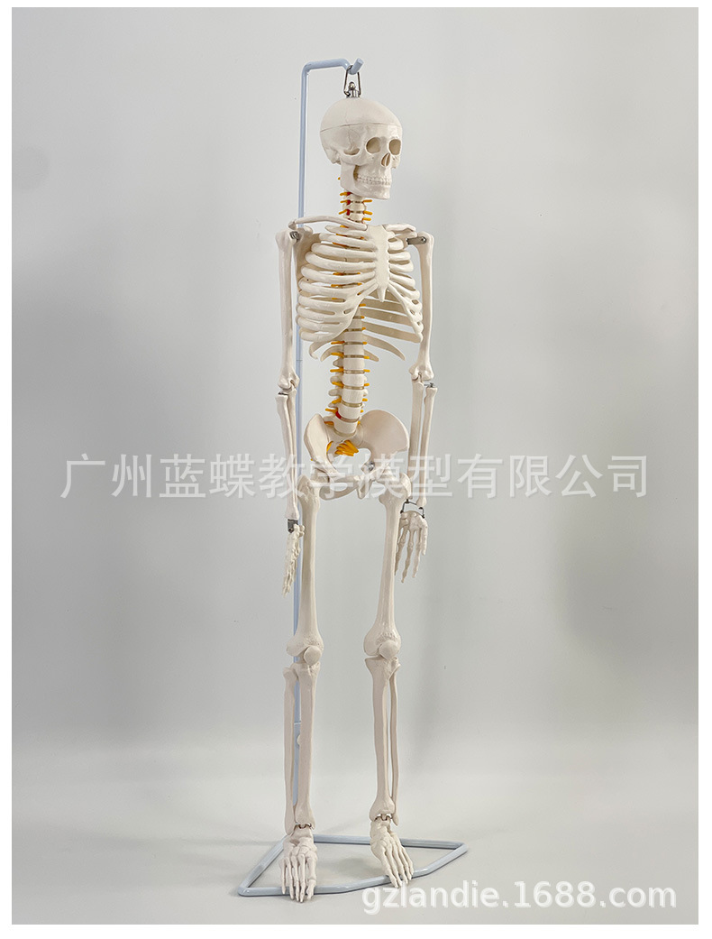 详情_16