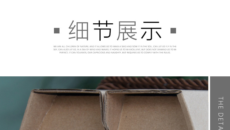 西红柿-细节_01