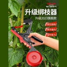 ���������ѽ�֦�C�¿�S���������t���r���Ԅӎ͎��C���������C