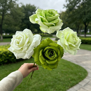 ����õ�廨�^��c�껨�������廨·������DIY�bٻ�