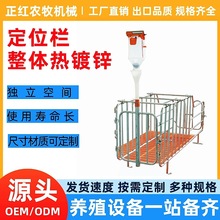 正红养殖设备母猪定位栏 母猪热浸锌定位栏  限位栏