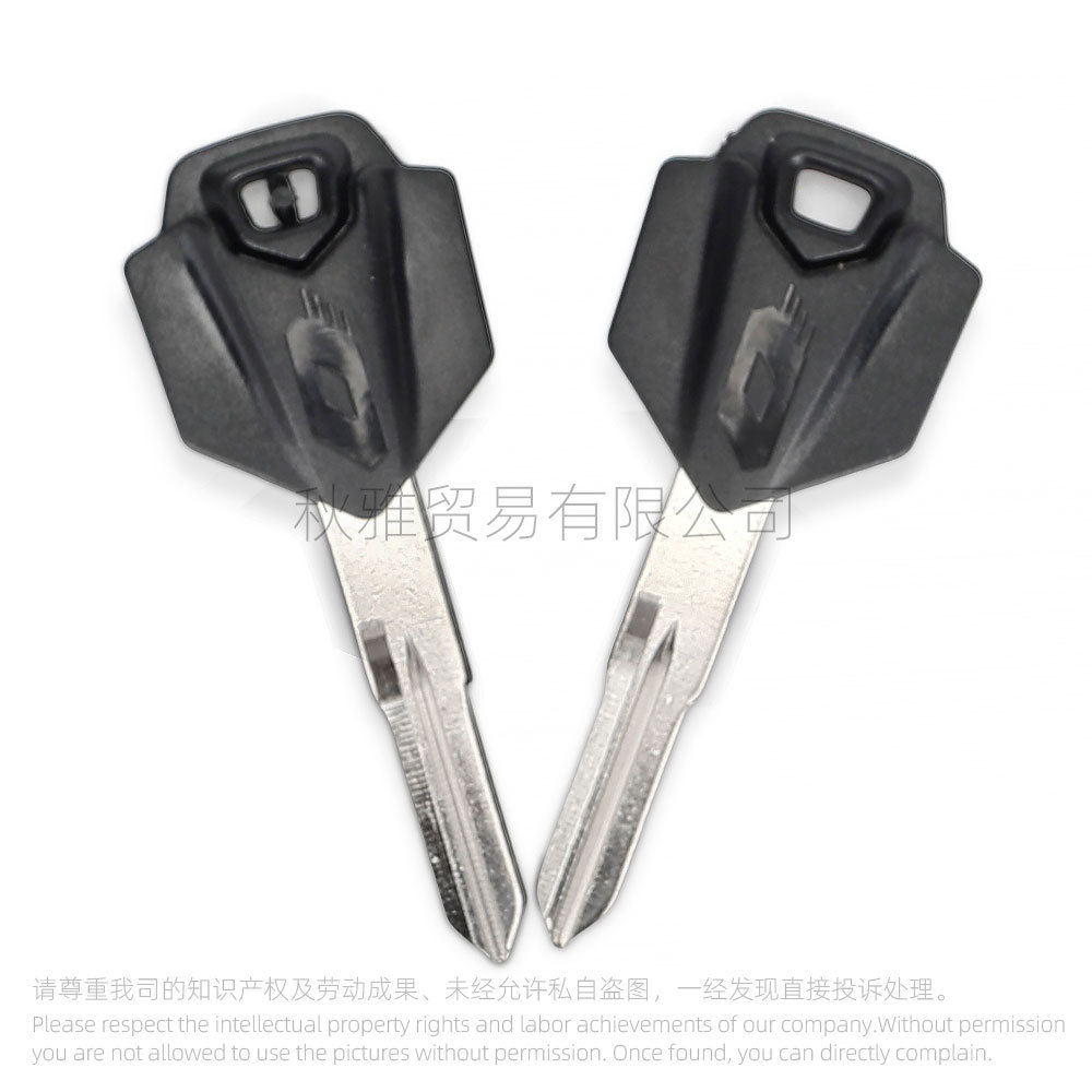 Suitable for Qianjiang Racing 150 Motorcycle Racing Qj250Gs-29 Racing 250 Key Embryo