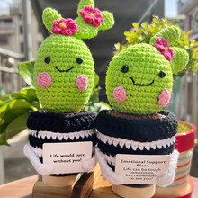 羳Emotional Support CactusRdżᘿëƶY