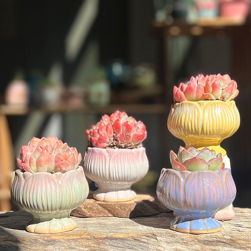 Gradient Succulent Flower Pot Ceramic Nordic Special Price Creative Simple Breathable Stoneware Flower Pot Set Combination Clearance Wholesale