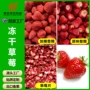 冻干烘焙散装水果干燕麦片