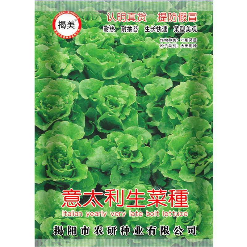 揭美25克意大利生菜种子 耐抽苔生菜籽 四季播阳台盆栽农家青菜