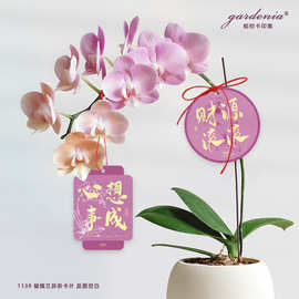 创意紫色蝴蝶兰小吊牌福气满满幸福兰祝福吊卡年宵花冬青装饰挂件