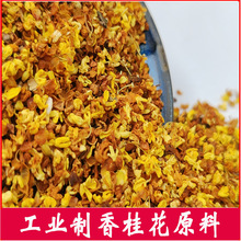 干桂花工业制香桂花干花香氛原料批发金桂花茶可磨粉线香桂林批发