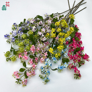 ǧ L֦ҹ ߙncT廨ٻ Yӭeý