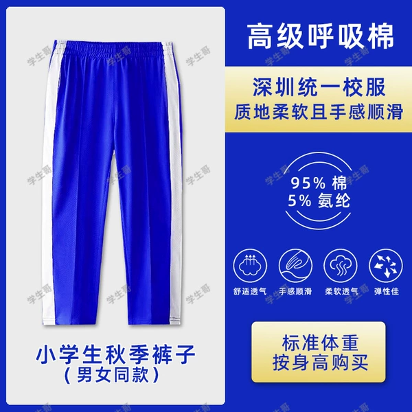 Premium version of primary school autumn trousers (no balling)