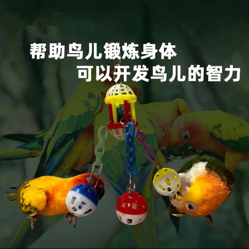 オウム鳥かご噛むおもちゃ牡丹黒鳳僧アクリルベルボール小さなサンバードスタンドぶら下げ退屈ボール|undefined