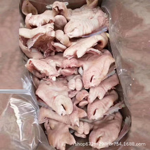 Ęl ȥ^ˮʰĘ20/ ꌣ