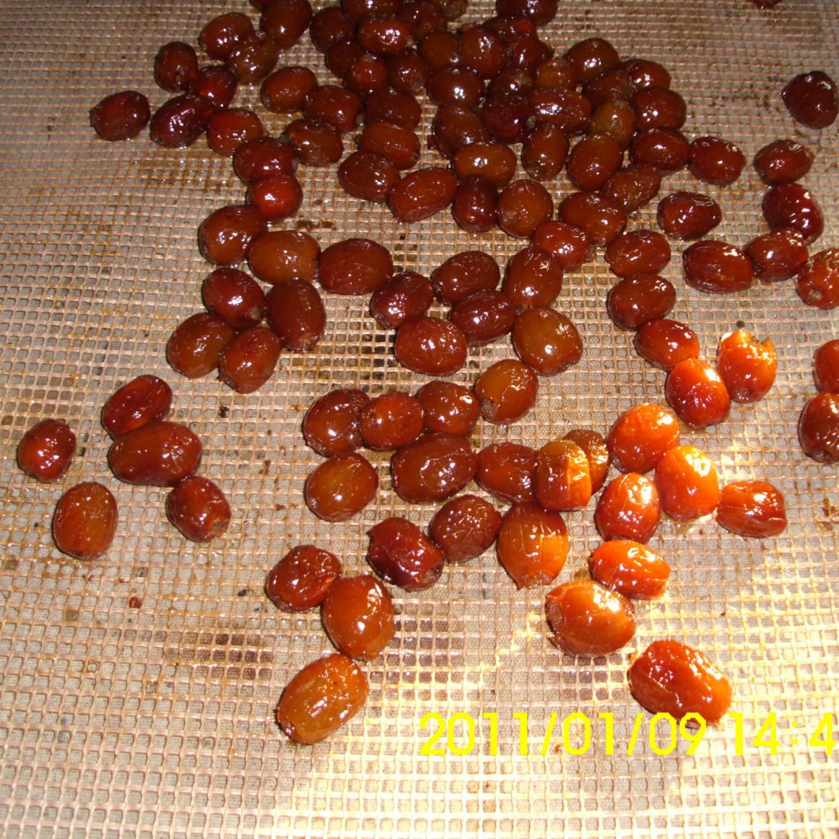 新疆核桃板栗烘焙机械