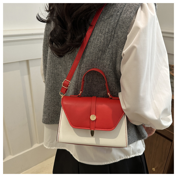 Women's Small Pu Leather Color Block Classic Style Square Magnetic Buckle Crossbody bag BAX display picture 21