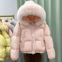 2025¿ëIɫqŮ̿ɐСӌɼӺ