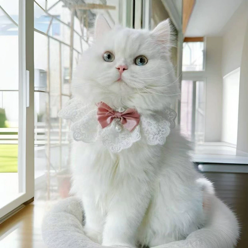 Нагрудник для кошек, тонкие аксессуары для домашних животных, воротник с бантом, галстук-бабочка для рэгдолла, кружевной нагрудник, полотенце для слюны для собак, нагрудник