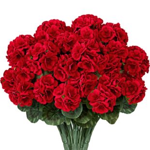�羳���N���Ļ����滨���ÿ�һƷ�t�Ҿ��b廨�쾰�[���ٻ��F؛