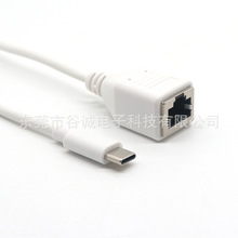 RJ45 8P8Cĸ���DType-c ���������ƽ��c��USB-C���DRJ45�W�ھ�