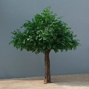 ��������Ř�������Ͳ���䓻����҃����b��쾰�ϙ��S�ҿ羳