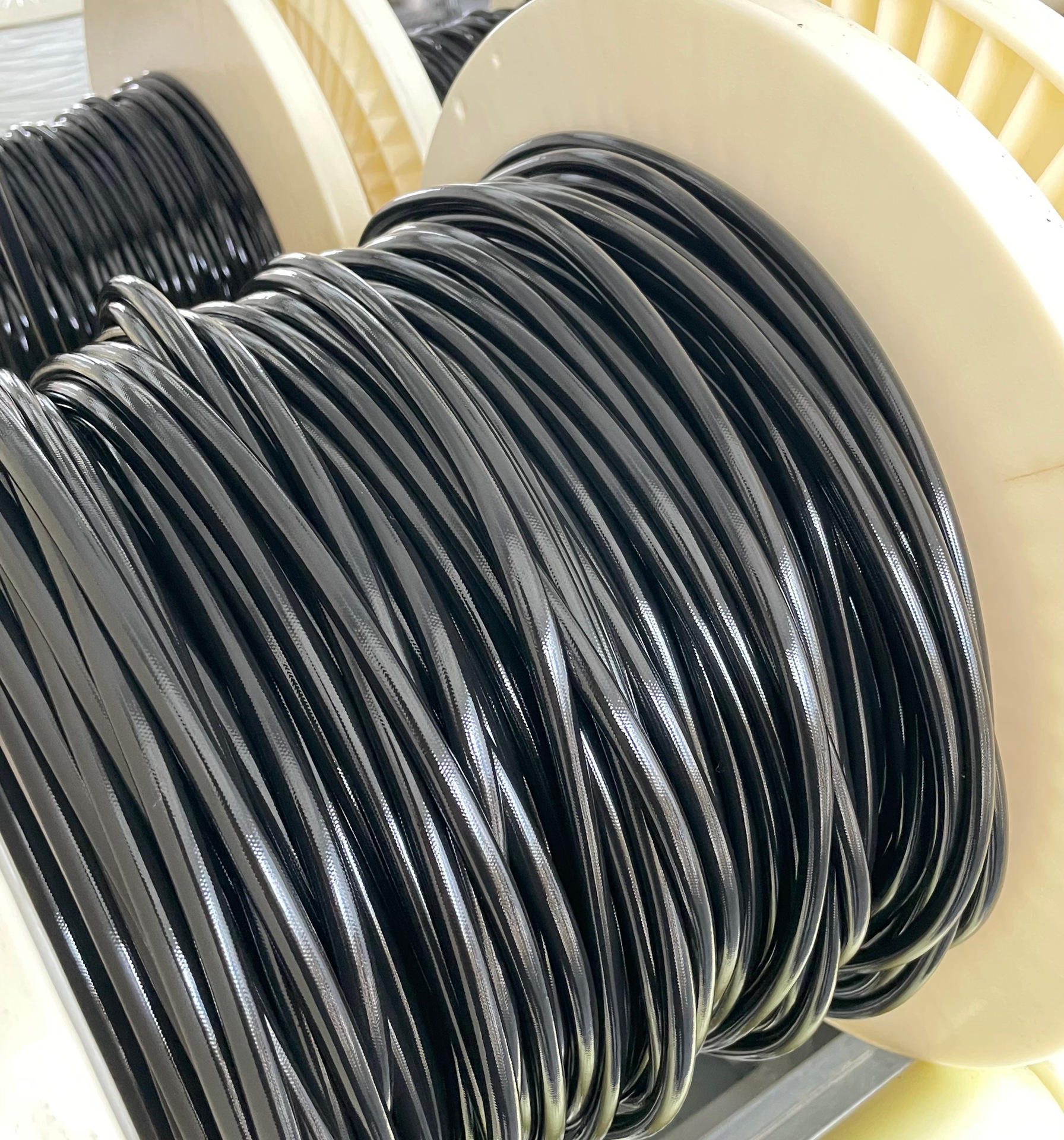 51d3a8dc9c355a8d4d91117bb28119