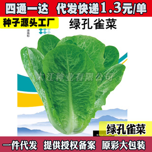 ��ȸ�˷N�ļ��N�Ѵ�ȫ�����_�Rɳ���������~�N���̨�����߲˷N��