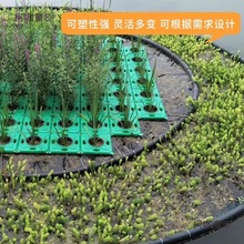 ���B���u���������˹���Nֲ�߲˳����~����ˮ�ϷN��ֲ��ˮ��̫��