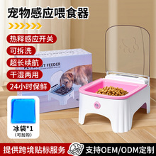 �羳�¿�è���Զ���Ӧι���� ��ʱ���Ƿ�������ʳ��è����������
