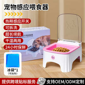 跨境新款猫咪自动感应喂养器 定时开盖防尘宠物食具猫狗粮宠物碗