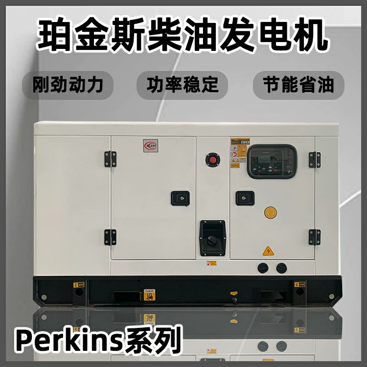 Высокопроизводительный дизельный генератор Perkins для наружного применения, водонепроницаемый, бесшумный, с сертификацией EPA
