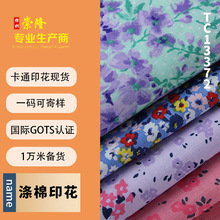 厂家直供卡通涤棉印花帆布 小碎花服装面料印花工艺品玩具面料