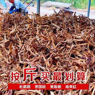 Natural Rhododendron Roots, Exquisite Roots, Sunken Wood Fish Tanks, Aquatic Plants, Rainforest Tanks, Branches, Tree Roots, Landscaping Micro-Landscape Materials